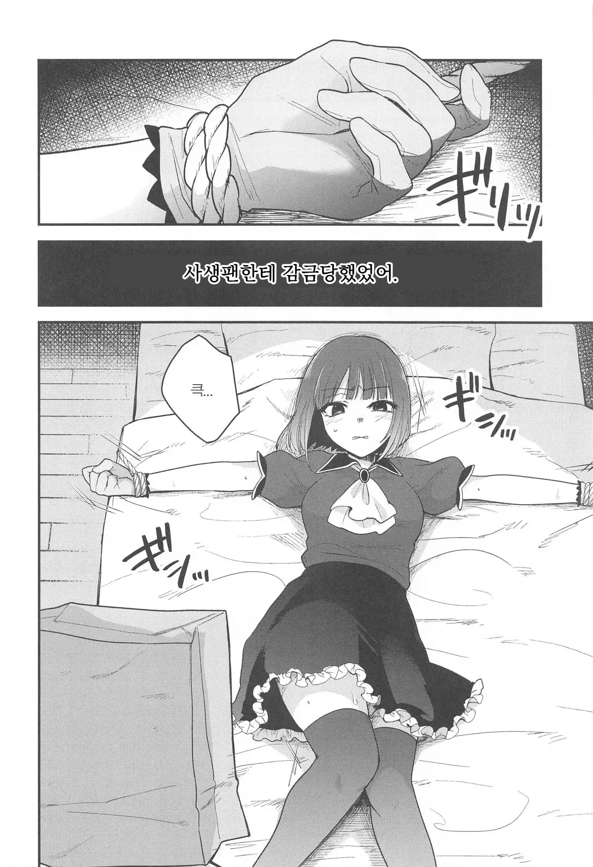 Chapter ' + image.page_number