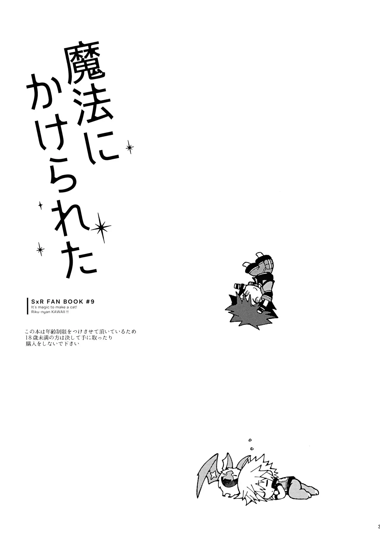 Chapter ' + image.page_number