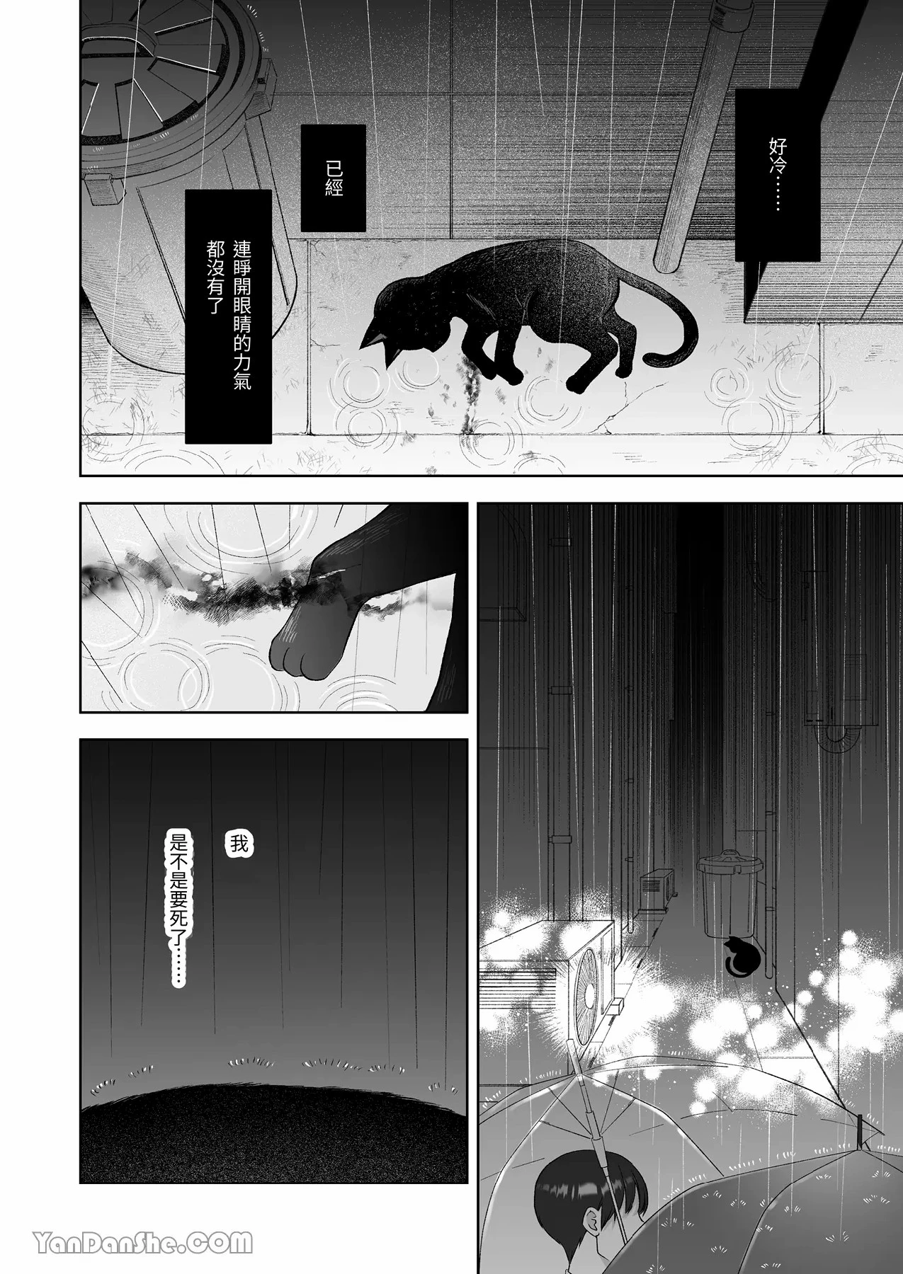 Chapter ' + image.page_number