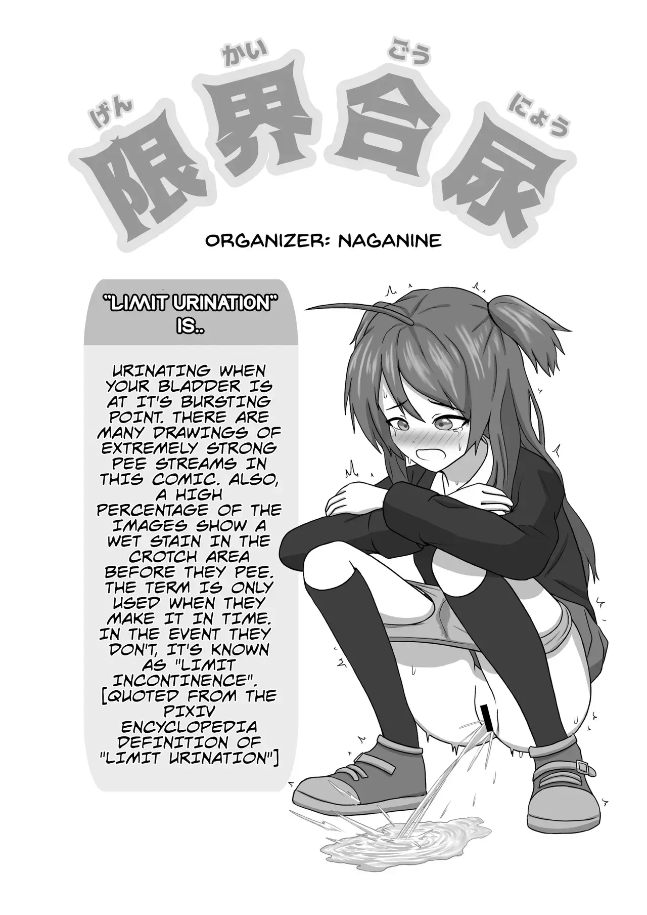 Chapter ' + image.page_number