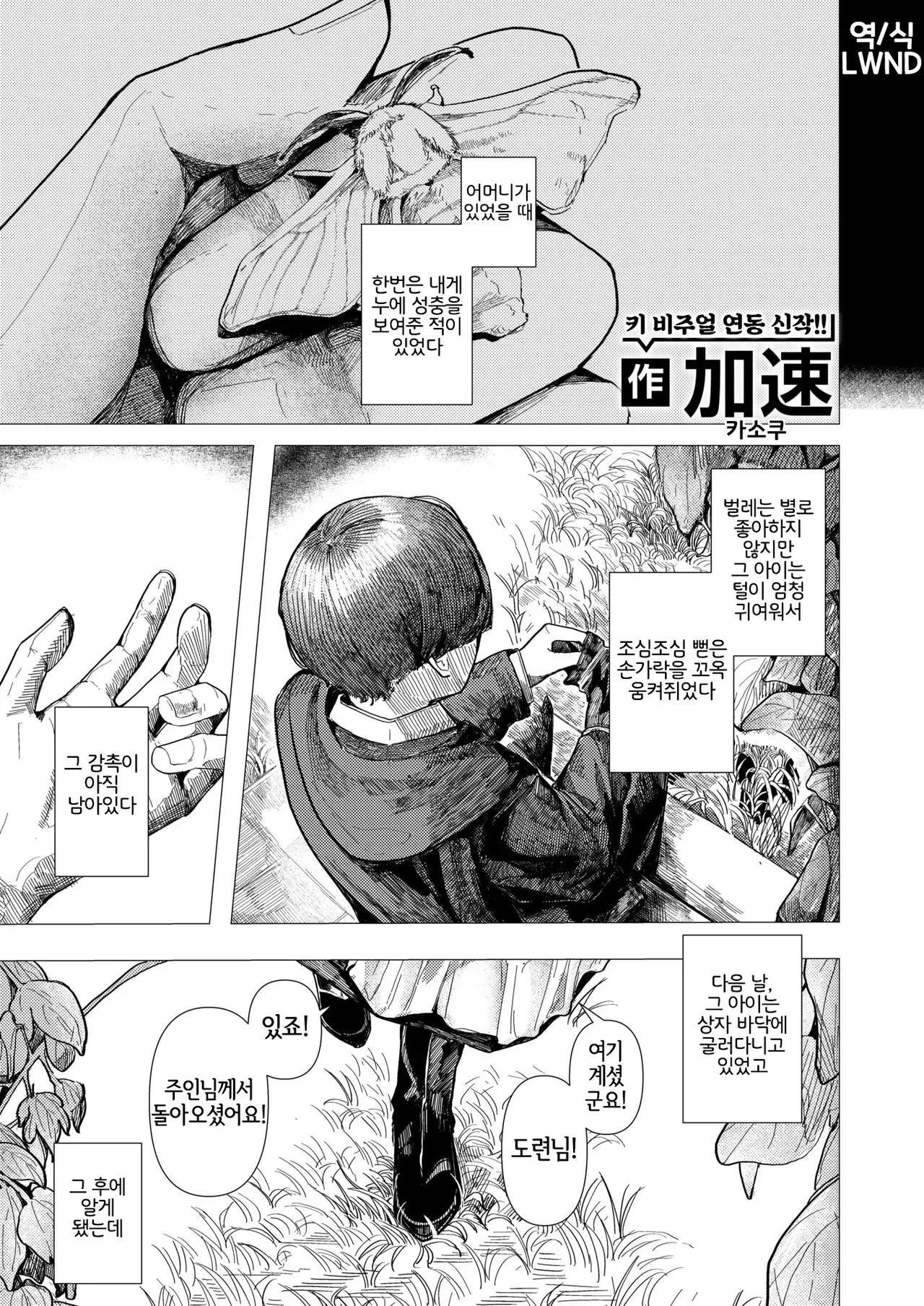 Chapter ' + image.page_number