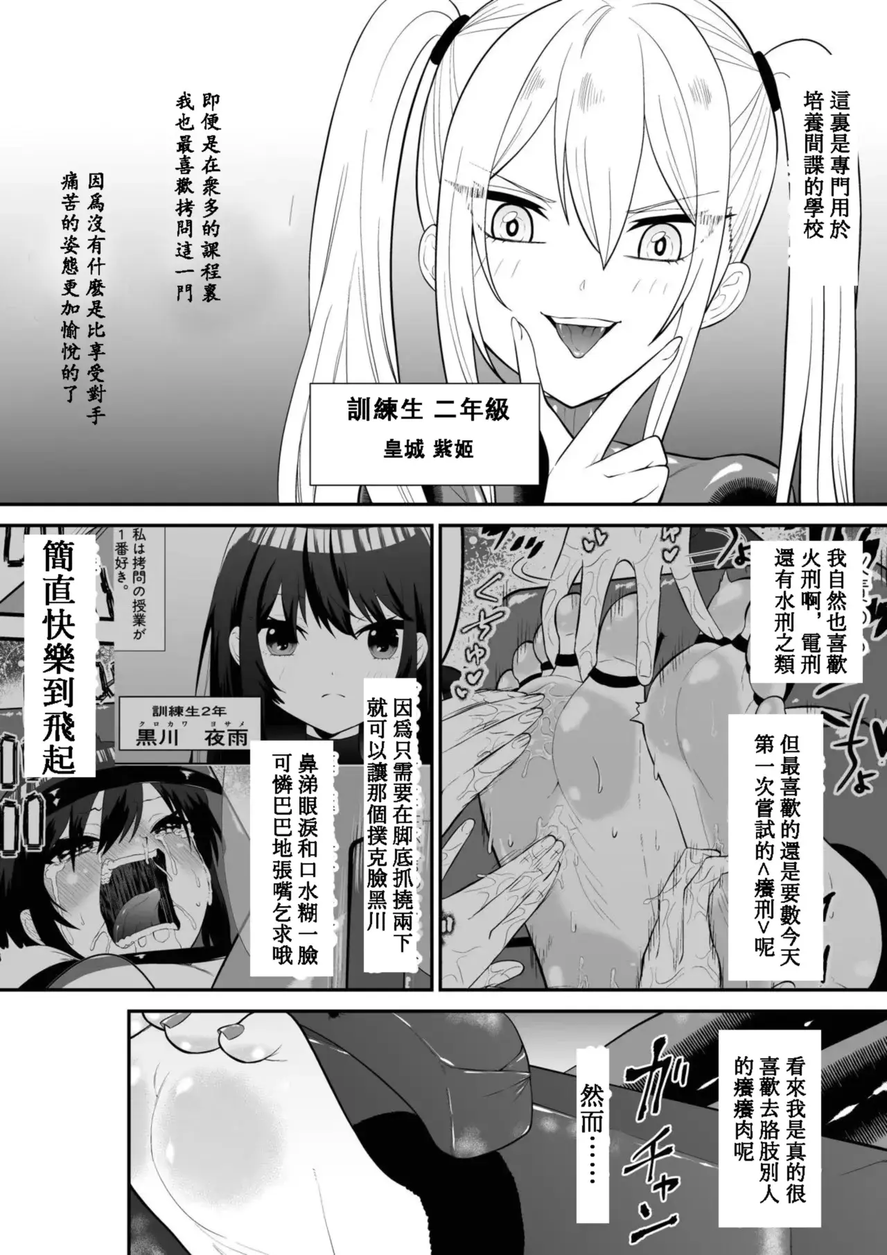 Chapter ' + image.page_number