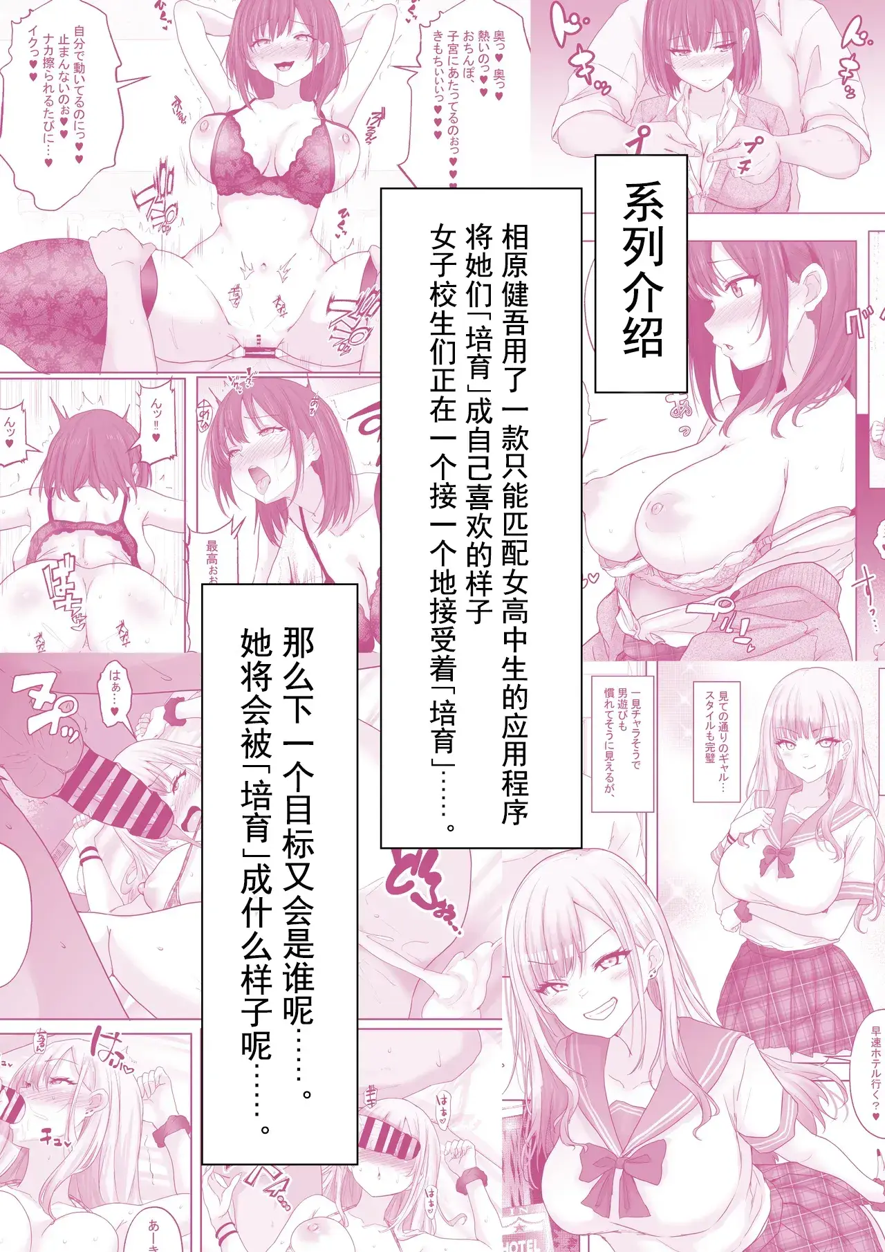 Chapter ' + image.page_number