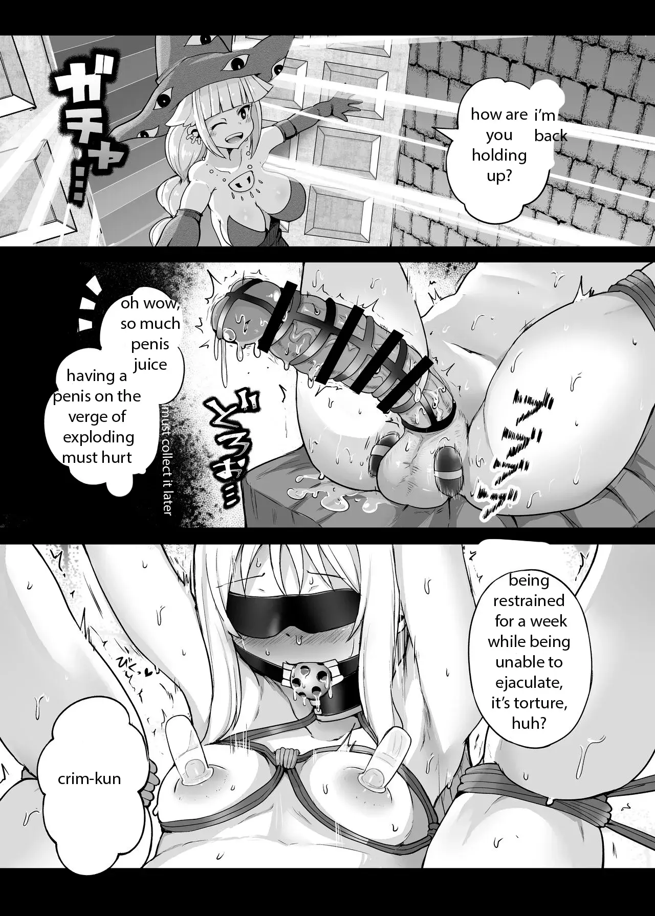 Chapter ' + image.page_number