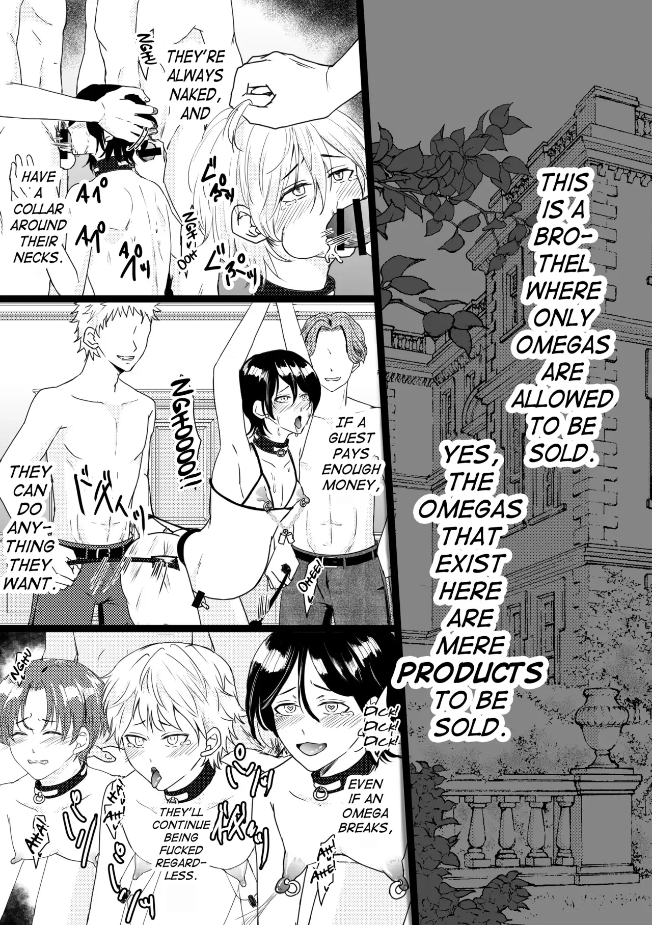 Chapter ' + image.page_number
