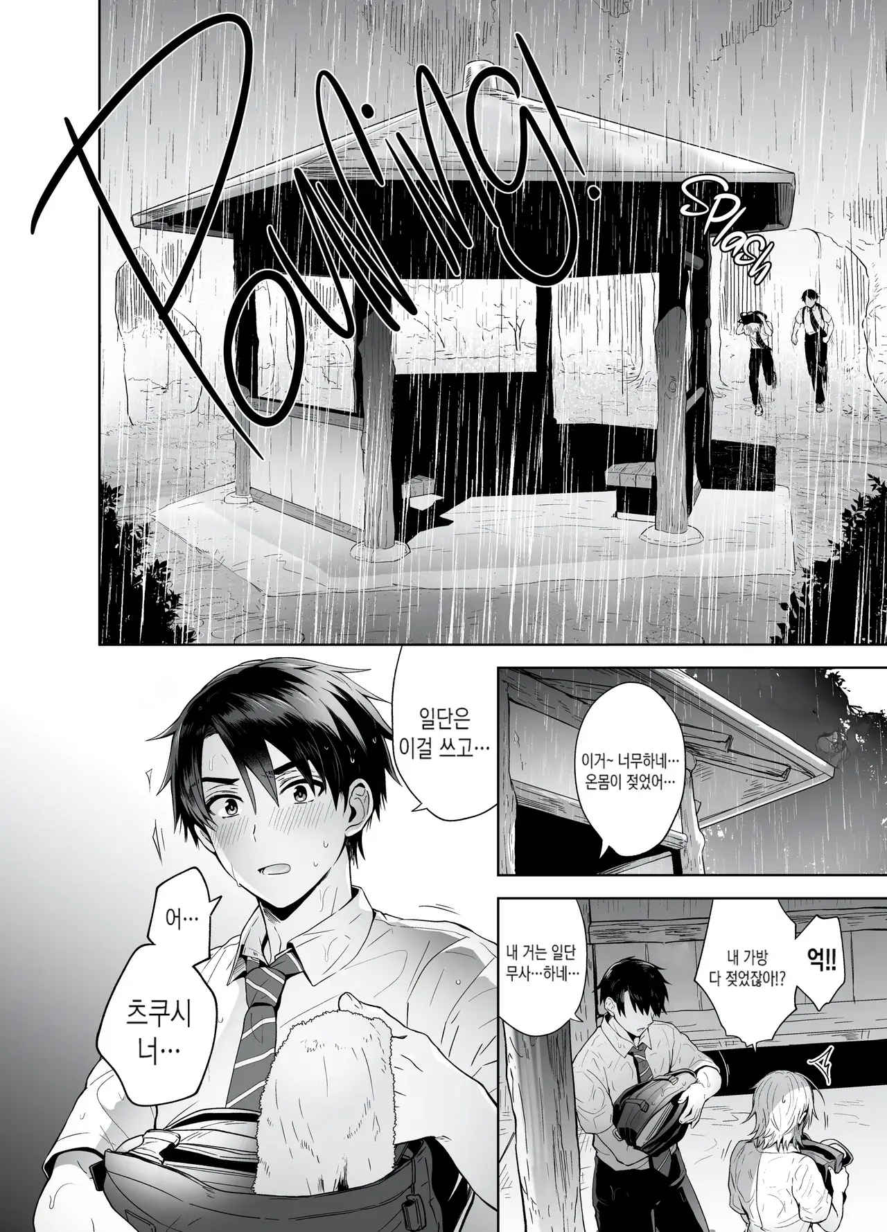 Chapter ' + image.page_number