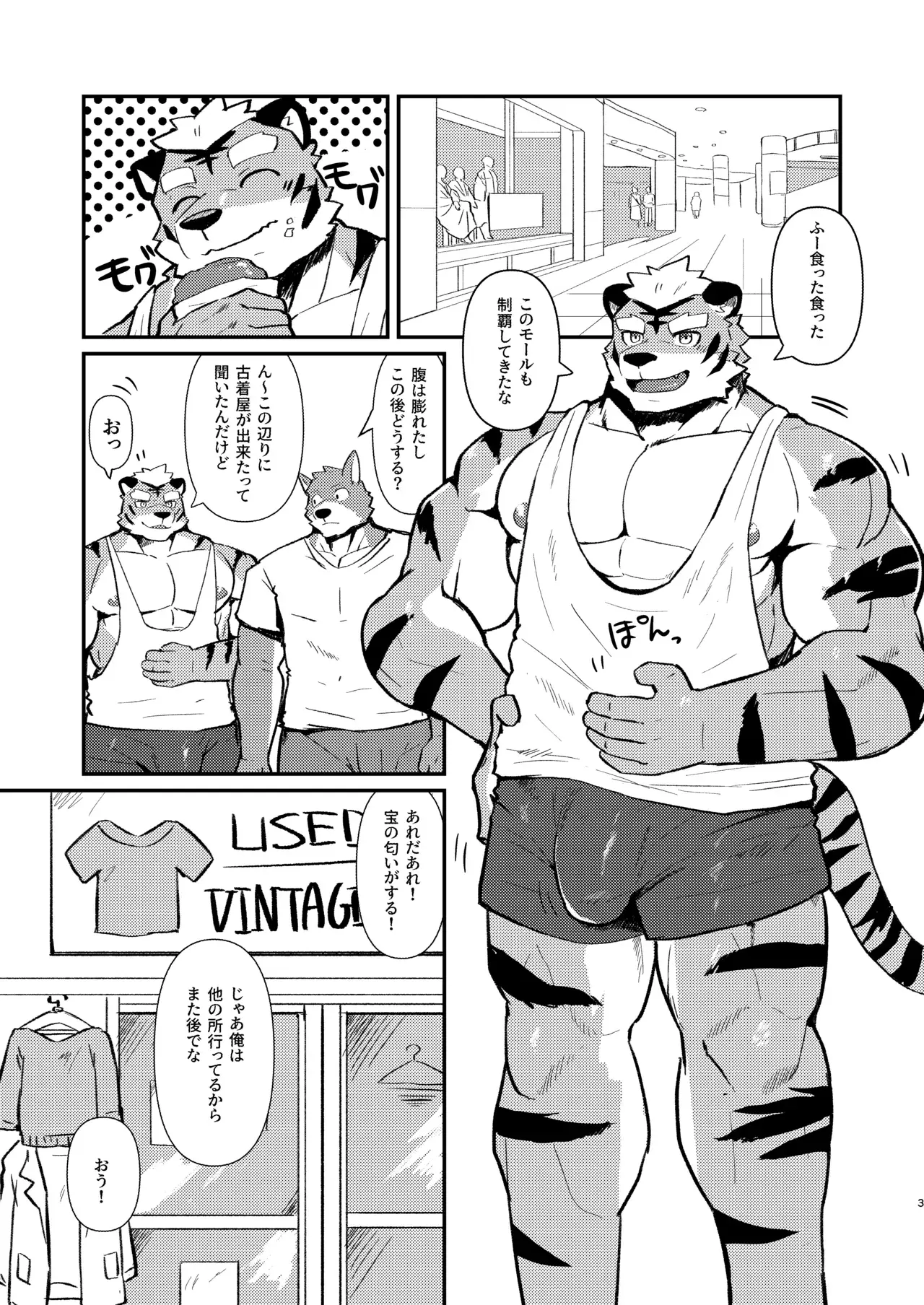 Chapter ' + image.page_number